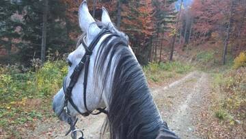 Фото номера Таунхаус с 2 спальнями Дома для отпуска Rancho Zapole г. Zasadne 27